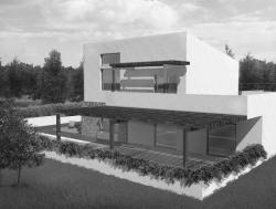 όψη ασπρόμαυρη όψη ασπρόμαυρη